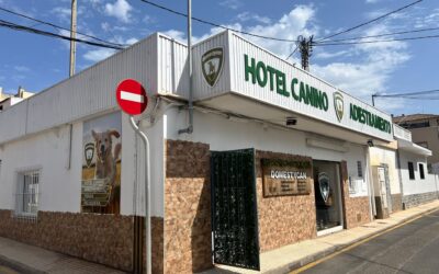 Hotel Canino Domestycan